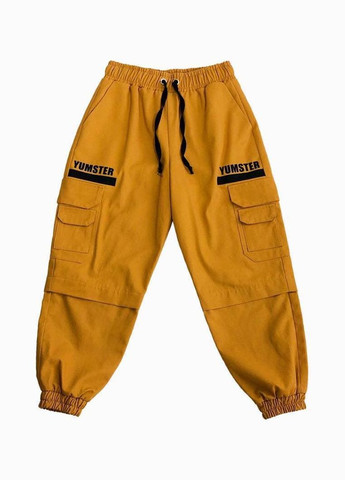 Желтые повседневный демисезонные брюки джоггеры Yumster
