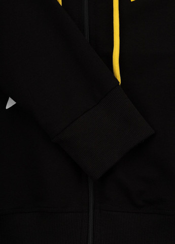 Спортивный костюм (кофта, штаны) AZN (262005848)