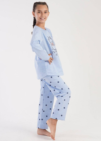 Голубая всесезон пижама девочковая байка (лонгслив, штаны) лонгслив + брюки Vienetta