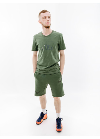 Зелена чоловіча футболка nord graphic t-shirt зелений Helly Hansen
