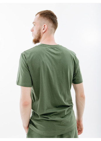 Зелена чоловіча футболка nord graphic t-shirt зелений Helly Hansen