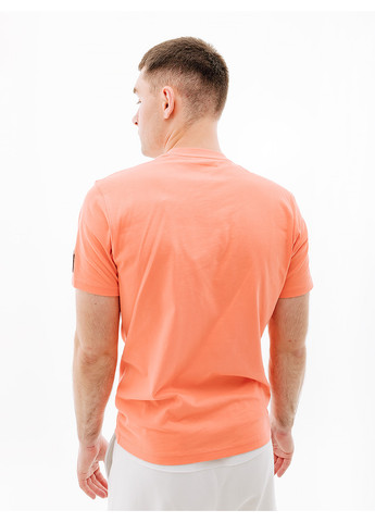 Оранжевая мужская футболка rwb graphic t-shirt оранжевый Helly Hansen