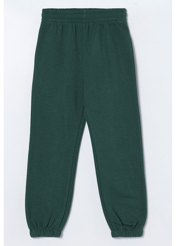 Зеленые спортивные демисезонные брюки Lefties