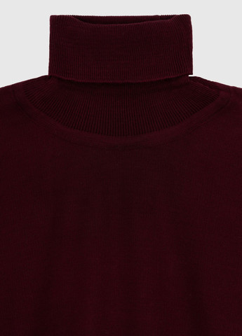 Бордовый демисезонный свитер No Brand