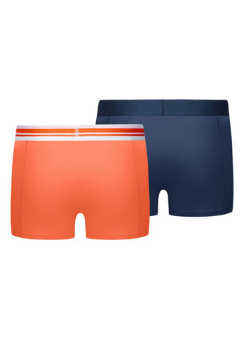 Мужское нижнее белье Placed Logo Boxer Shorts 2 Pack Puma (262600891)