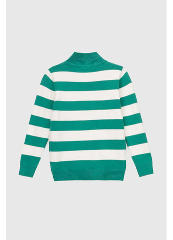 Зеленый демисезонный свитер Lizi Kids