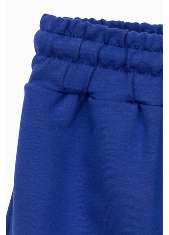 Синие спортивные демисезонные брюки Breezy