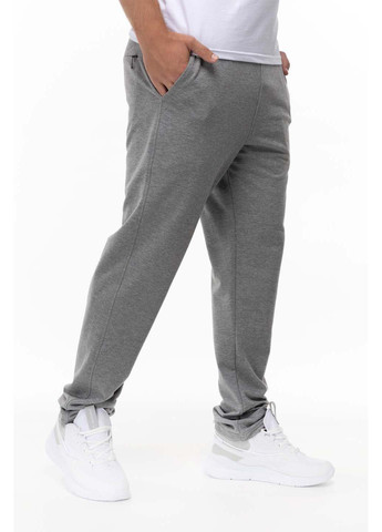 Светло-серые спортивные демисезонные брюки Air Jones