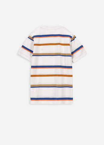 Цветная детская футболка-поло для мальчика Coccodrillo