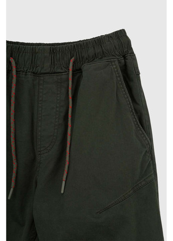 Зеленые кэжуал демисезонные брюки Black zi
