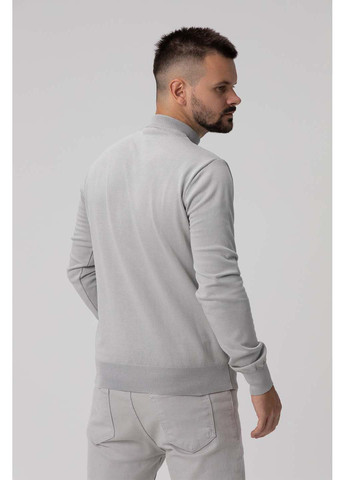 Світло-сірий демісезонний светр Figo