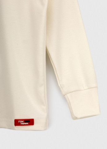 Термоджемпер FSM (263674803)