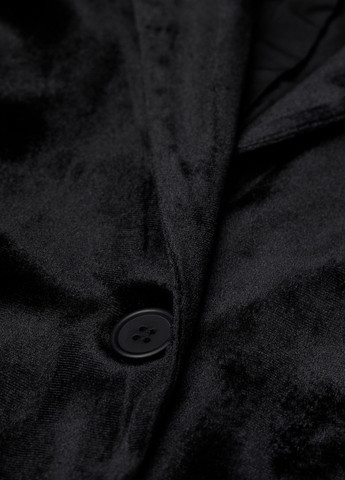 Піджак з оксамитової тканини H&M (263930010)