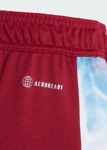 Спортивні штани adidas (264020716)