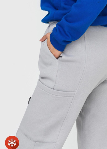 Серые спортивные зимние брюки Garne