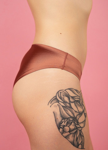 Трусики сліп теракотовий SLZ23302003 Brabrabra Кольоровий комфорт PRO (264306688)