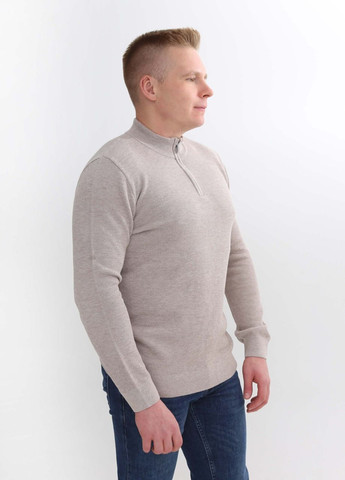 Водолазка мужская бежевая с горлом на молнии JEANSclub Приталений (264307922)