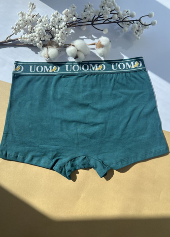 Мужские трусы-боксеры хлопок Банан-хулиган 48 50 52 54 56 (M L XL 2XL 3ХL) трусы-шорты зеленые UOMO (264385121)