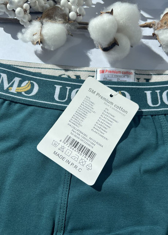 Мужские трусы-боксеры хлопок Банан-хулиган 48 50 52 54 56 (M L XL 2XL 3ХL) трусы-шорты зеленые UOMO (264385121)