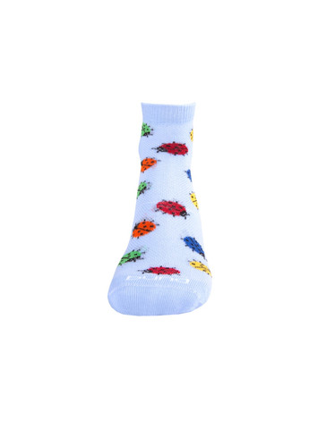 Шкарпетки дитячі арт. Duna 4281 (264656934)