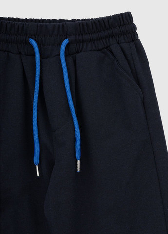Темно-синие спортивные демисезонные брюки Pitiki