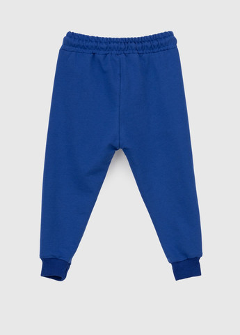 Синие спортивные демисезонные брюки Pitiki
