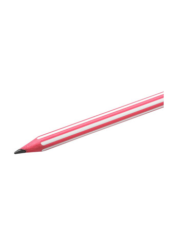 Набір олівців чорнографітних 12 шт шестикутний Evolution HB Різнокольоровий Bic (264920284)