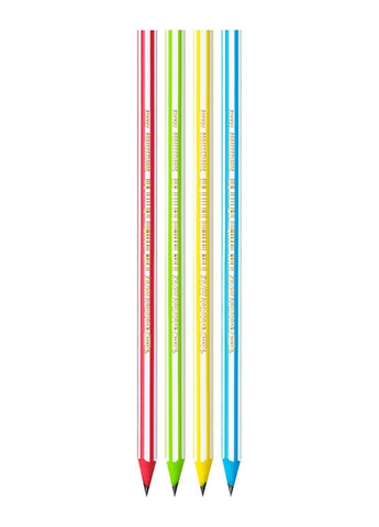 Набор карандашей чернографитных 12 шт шестиугольный Evolution HB Разноцветный Bic (264920284)