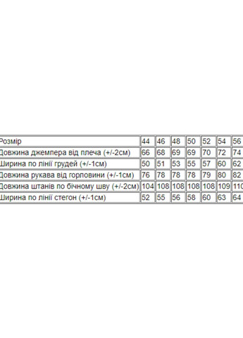 Костюм чоловічий Носи своє (265014387)