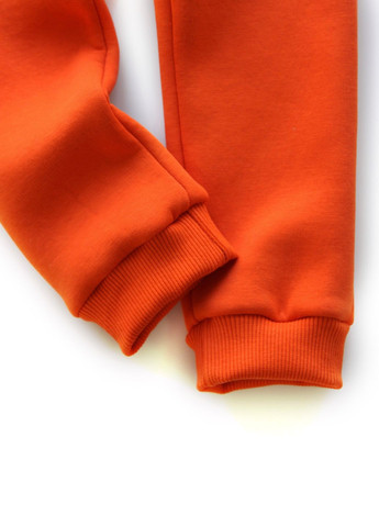 Оранжевые демисезонные брюки Little Bunny