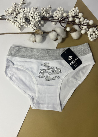 Натуральні бавовняні трусики з утяжкою живота Кошенята, сліпи S M L( 44 46 48) білі No Brand (265329409)