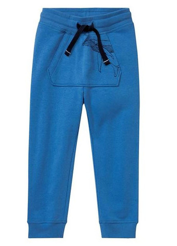 Голубые демисезонные брюки Lupilu