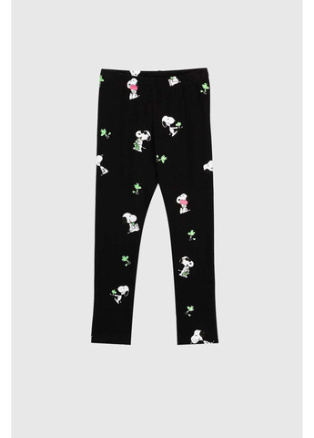 Лосини Dassi (265543396)