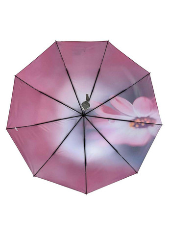 Комбинированный женский зонт-автомат в подарочной упаковке с платком Rain (265992239)