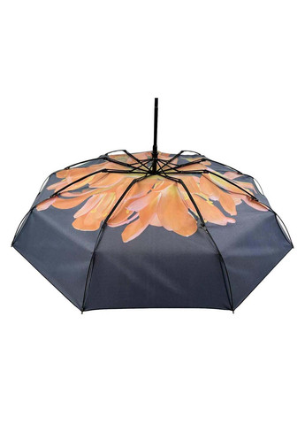 Жіноча парасолька-автомат у подарунковій упаковці з хустинкою Rain (265992218)