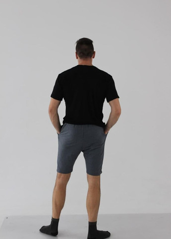 Чоловічий спортивний комплект футболка з шортами спортивний костюм ААА (266041179)