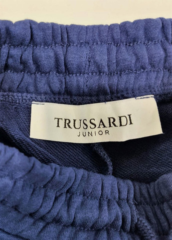 Синий демисезонный костюм(реглан+штаны) Trussardi