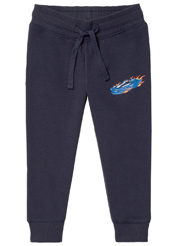 Серо-синие спортивные демисезонные брюки джоггеры Lupilu