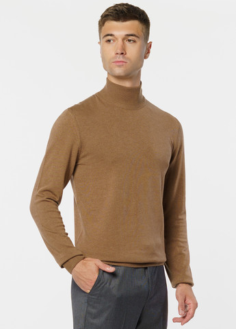 Бежевый зимний свитер мужской Arber T-neck FF AVT87