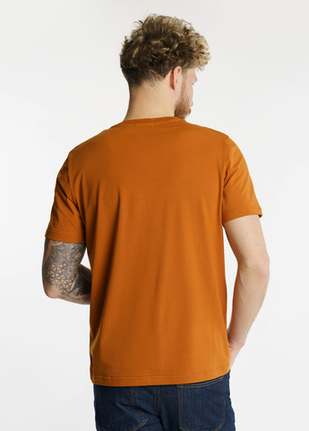 Коричневая футболка мужская Arber T-SHIRT FF10