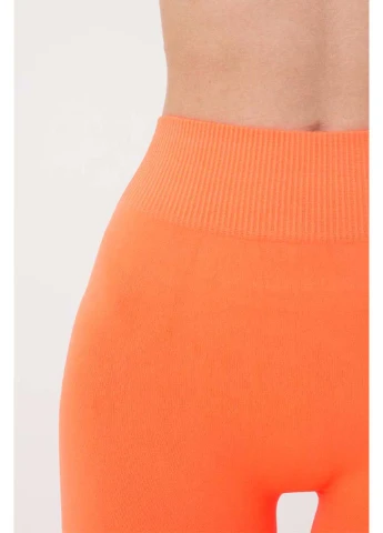 Легінси Giulia LEGGINGS model 2 (266411946)