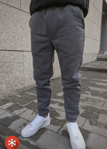 Чоловічі теплі спортивні штани з начосом VDLK (255276698)
