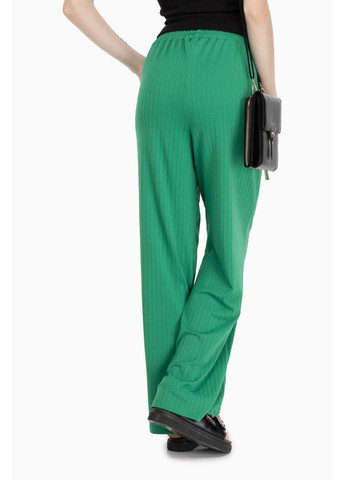Зеленые демисезонные брюки Divon