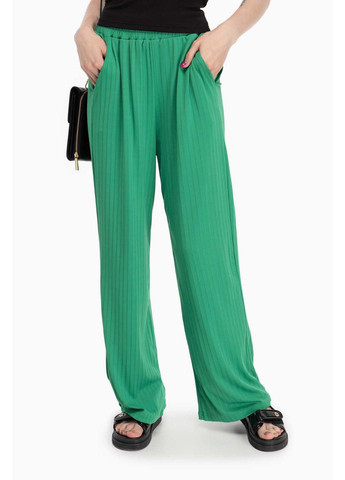 Зеленые демисезонные брюки Divon
