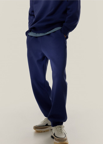 Синие спортивные демисезонные брюки H&M