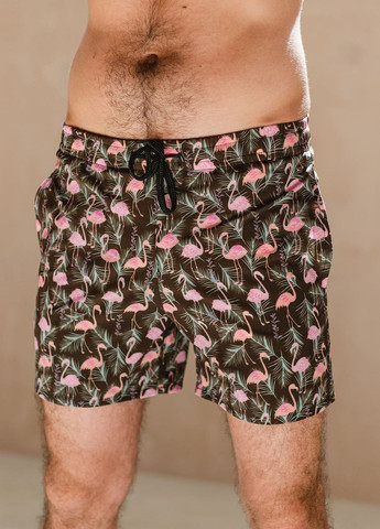 Плавательные шорты Flamingo No Brand (266626022)