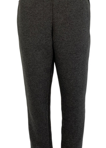 Костюм спортивний чоловічий ГЛІБ тринитка з начосом сірий, роз. 46 4PROFI (266914721)