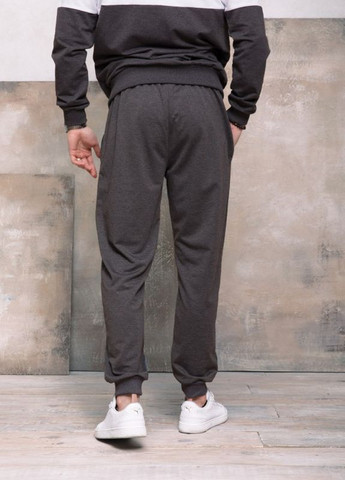 Темно-серые спортивные демисезонные брюки ISSA PLUS