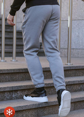 Штани Fleece- Cold, Gray VDLK (266413739)
