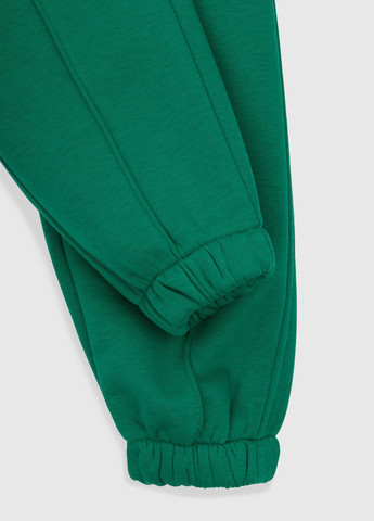 Зеленые спортивные зимние брюки ANGELOS